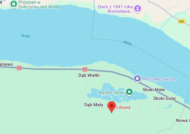 Dąb 5