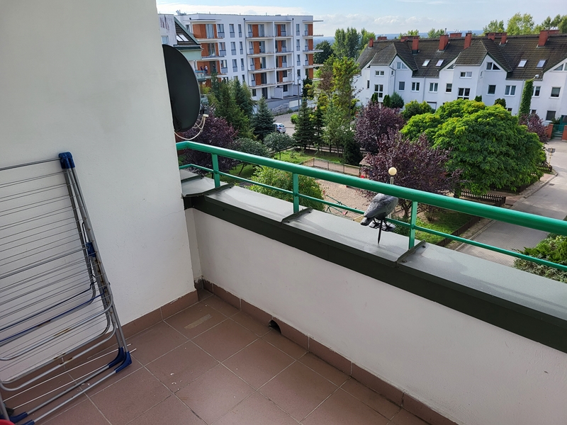 20230904 093439 1 Kopiowanie