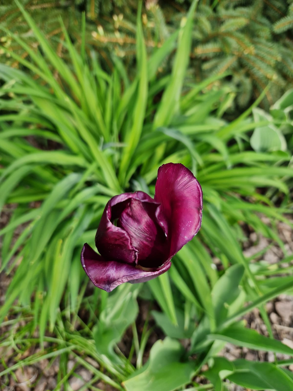 Img 20250124 Wa0004